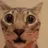 :CC_Cat_Chock: CC_Cat_Chock