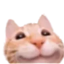 cat_uwu