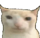 nedo
