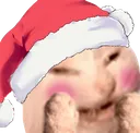CatblushychristmasPNGmin