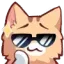 nekoglasses