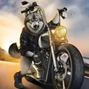 z_COOLAFWOLF