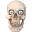 https://cdn.discordapp.com/emojis/1314334847635951666.webp?size=32