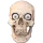https://cdn.discordapp.com/emojis/1314334847635951666.webp?size=40