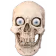 https://cdn.discordapp.com/emojis/1314334847635951666.webp?size=56
