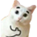 lerder