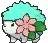 sshaymin
