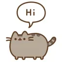 Pushteen_Hi Pushteen_Hi