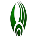 Borg_Insignia_Green Discord Emoji - THE HAIL MARY