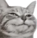 Catsmug Catsmug
