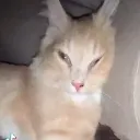 eughhh