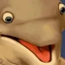 Dolphin_Shocked