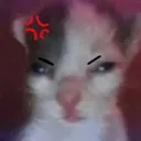 howdare howdare