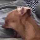 pain