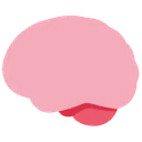 brain_wrinklent