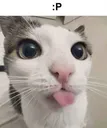 silly