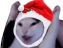WAHOOSanta