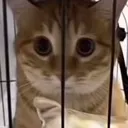 terrified
