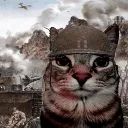 helmetcat