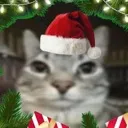 hohoho