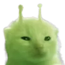 glorp glorp