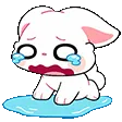 animal_bunbuncry animal_bunbuncry