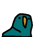 drawn_parrot