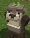 zesty_otter
