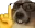 rllybro