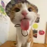 SILLY