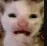 AWWWTF