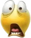 wtf