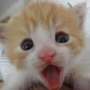 emoji_57 emoji_57