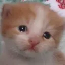 emoji_48