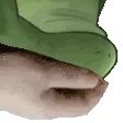 Froge_Pat2