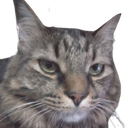 Sadie Discord emoji