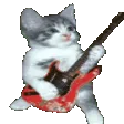 CatGuitar