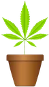 growaplant