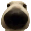 Ishited