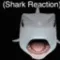 shark_reaction
