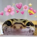 geckoLuv