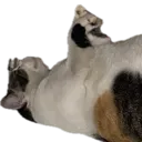 emoji_30