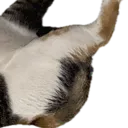 emoji_33