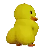 duckass duckass