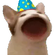 birthdayPop