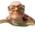 gpturtle