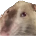 ratfiend
