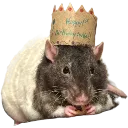 ratking