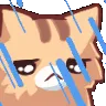 sadrainkitty