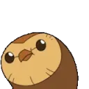 hootywiggles hootywiggles